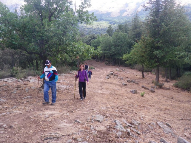Trekking nel parco